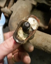A spider nest inside the manifold clip. Hasn't been fired up for awhile, obviously